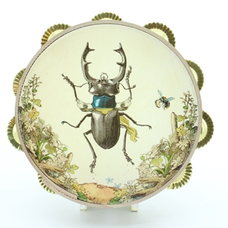 Pandeireta Ilustrada por Celsius Pictor_ Vacaloura - Imaxe 1